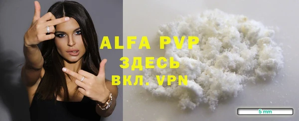 стаф Киренск