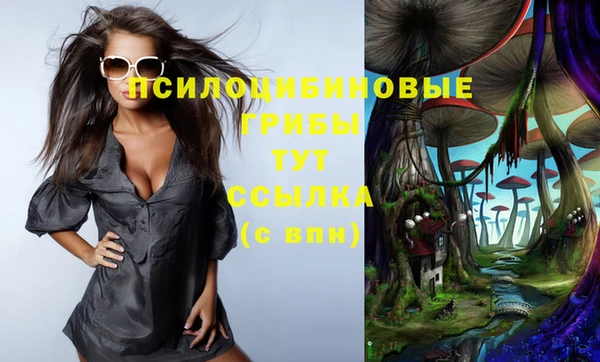 первитин Няндома