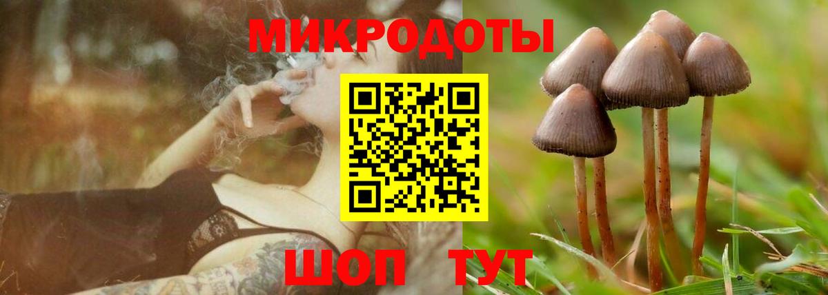 Галлюциногенные грибы GOLDEN TEACHER  даркнет сайт  Кушва  Вход с VPN 