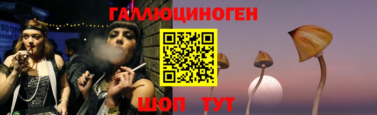Псилоцибиновые грибы GOLDEN TEACHER Кушва